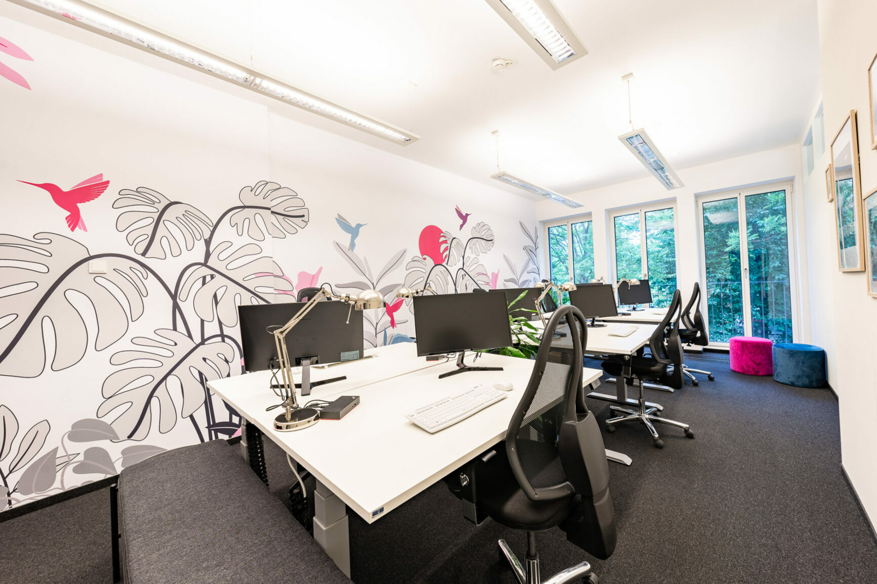 Online Birds Büro in München mit Schreibtischen und bunter Tapete an der Wand