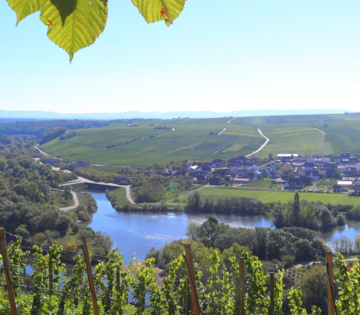 Blick von einem höheren Standpunkt auf ein kleines Dorf umgeben von Feldern und Wäldern