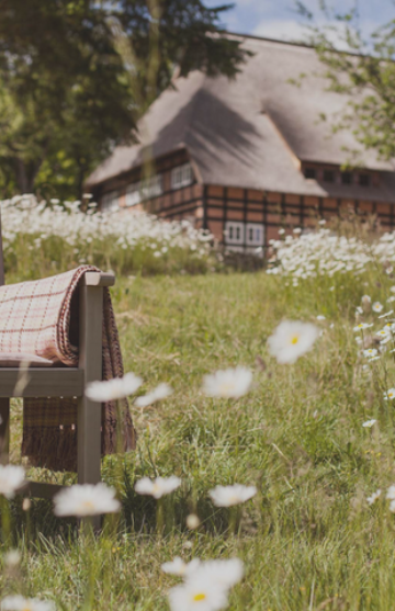 Wiese mit Gänseblümchen und einer gefalteten Decke vor dem Hotel unseres Kunden Park am See