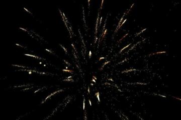 Pexels akil mazumder 973590