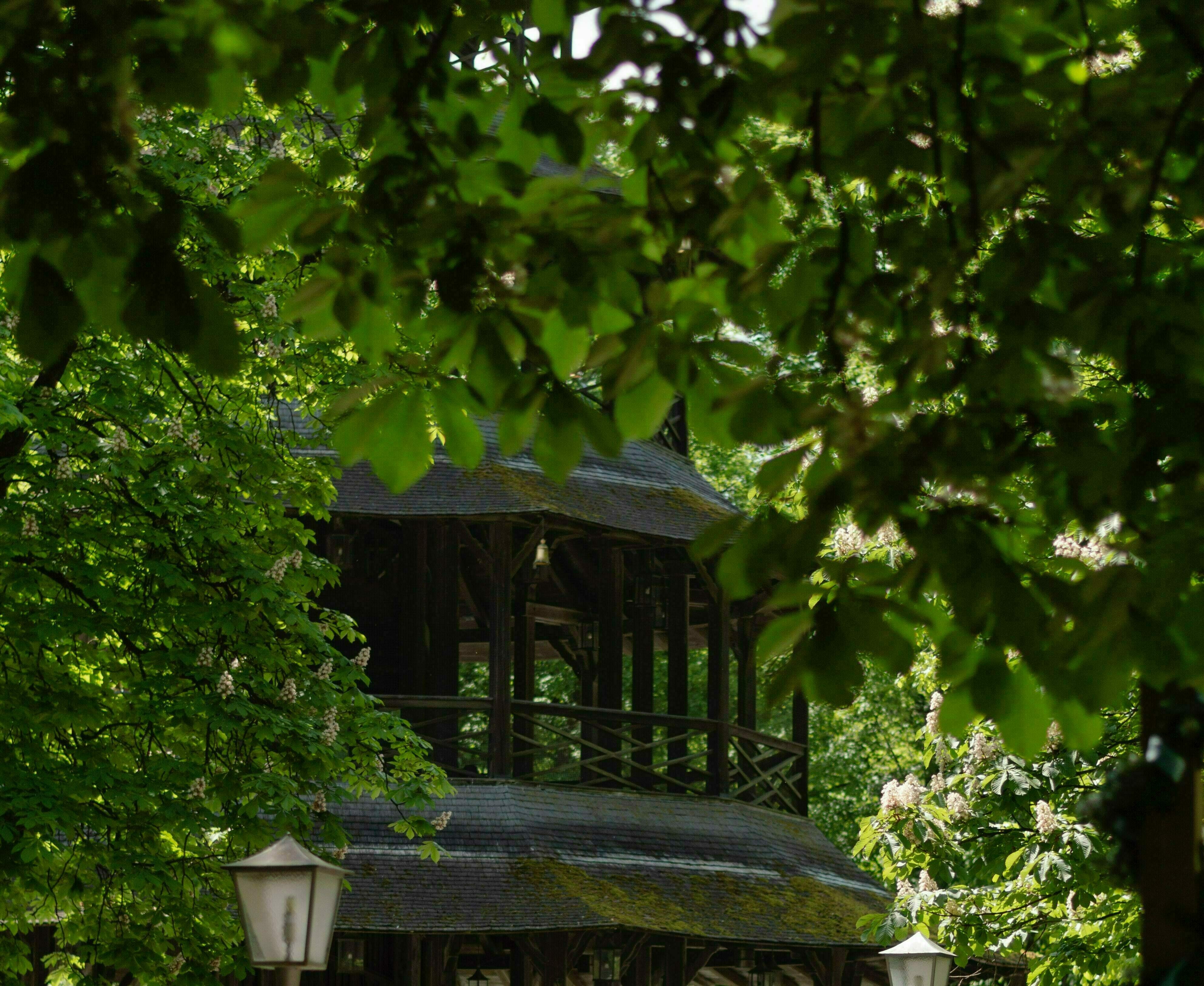 bg image